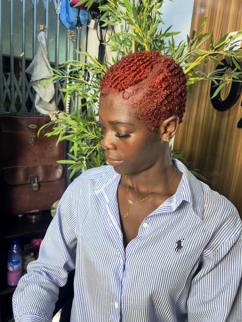 Cuts & Colour